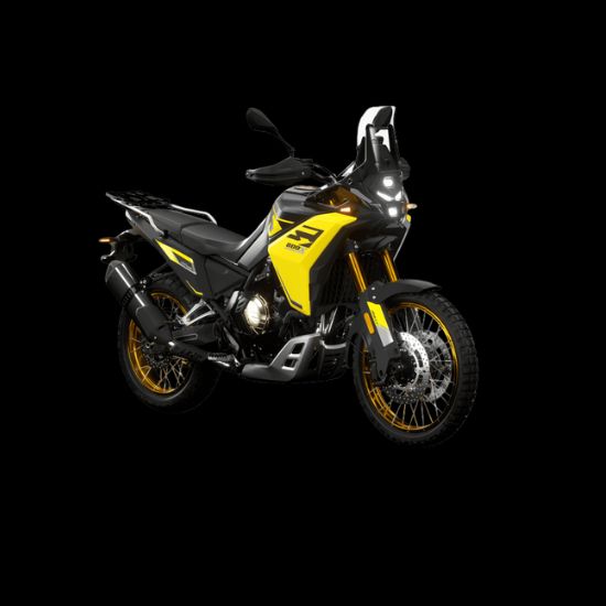 DS800x Rally