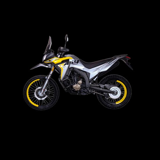 GY300 Rally