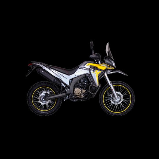 GY300 Rally