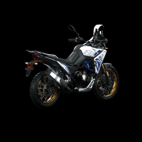 DS800x Rally